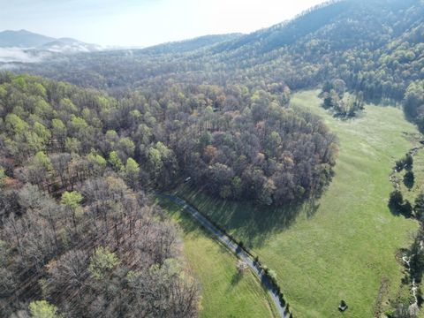 Photo of 1378 Cove Creek Farm Rd Rd, Coleman Falls, VA 24536 (MLS # 365610)