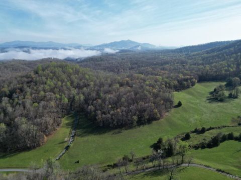 Tiny photo for 1378 Cove Creek Farm Rd Rd, Coleman Falls, VA 24536 (MLS # 365610)