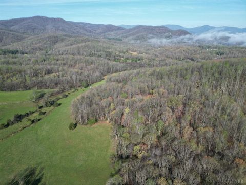 Tiny photo for 1378 Cove Creek Farm Rd Rd, Coleman Falls, VA 24536 (MLS # 365610)