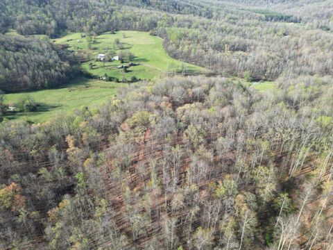 Tiny photo for 1378 Cove Creek Farm Rd Rd, Coleman Falls, VA 24536 (MLS # 365610)