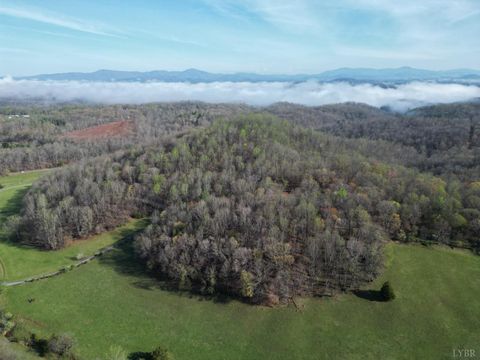 Tiny photo for 1378 Cove Creek Farm Rd Rd, Coleman Falls, VA 24536 (MLS # 365610)