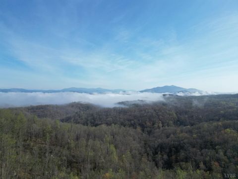 Tiny photo for 1378 Cove Creek Farm Rd Rd, Coleman Falls, VA 24536 (MLS # 365610)