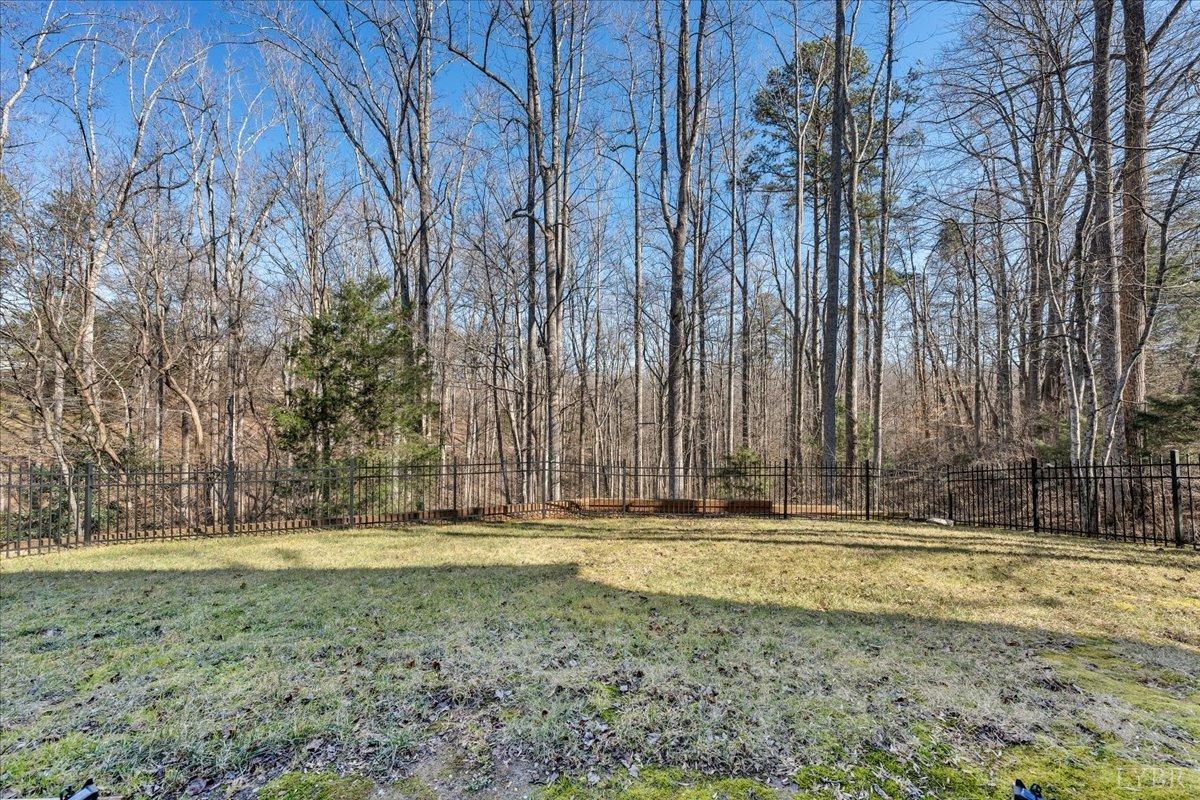 126 Mountain Cove Drive, Hardy, Virginia image 43