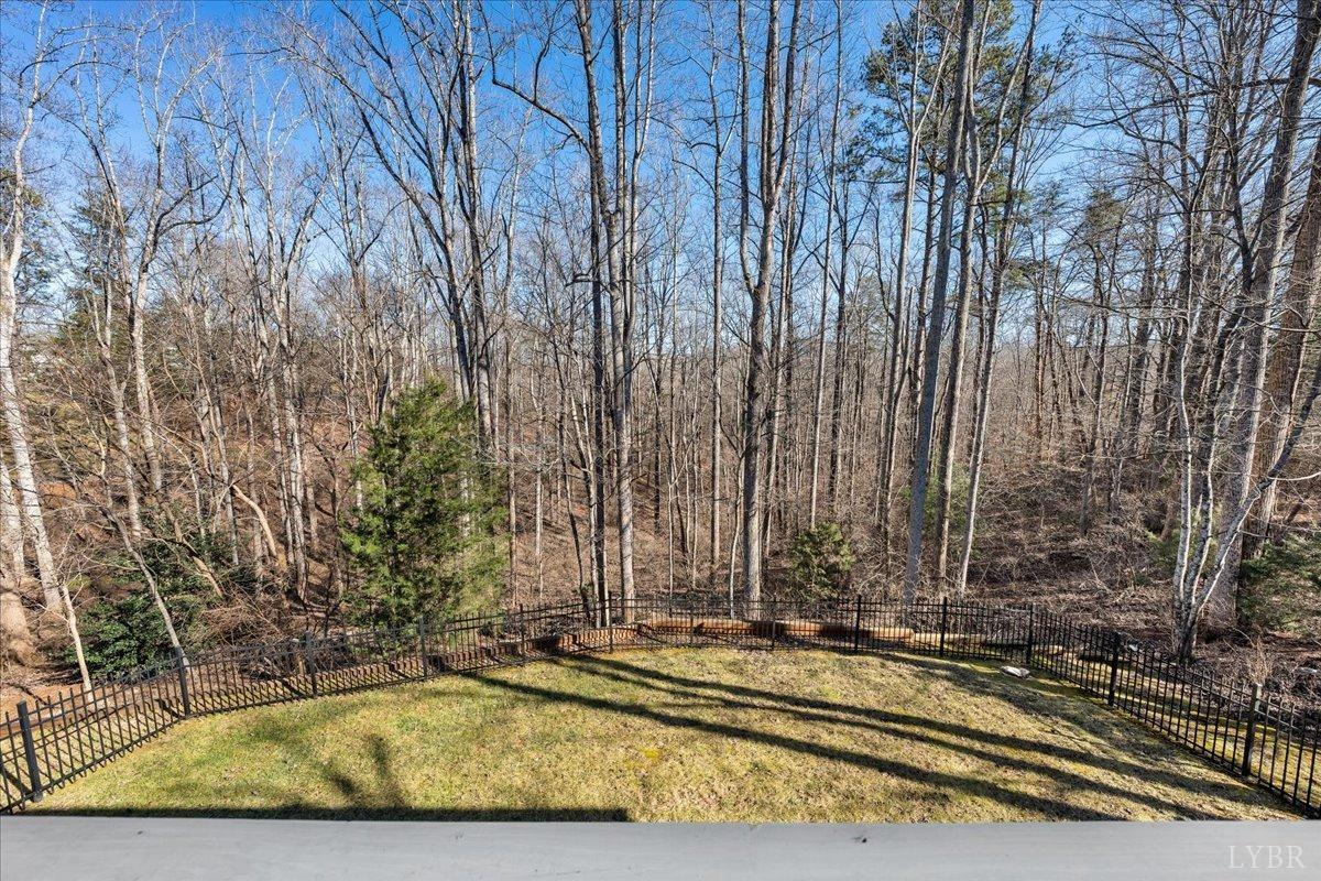 126 Mountain Cove Drive, Hardy, Virginia image 44
