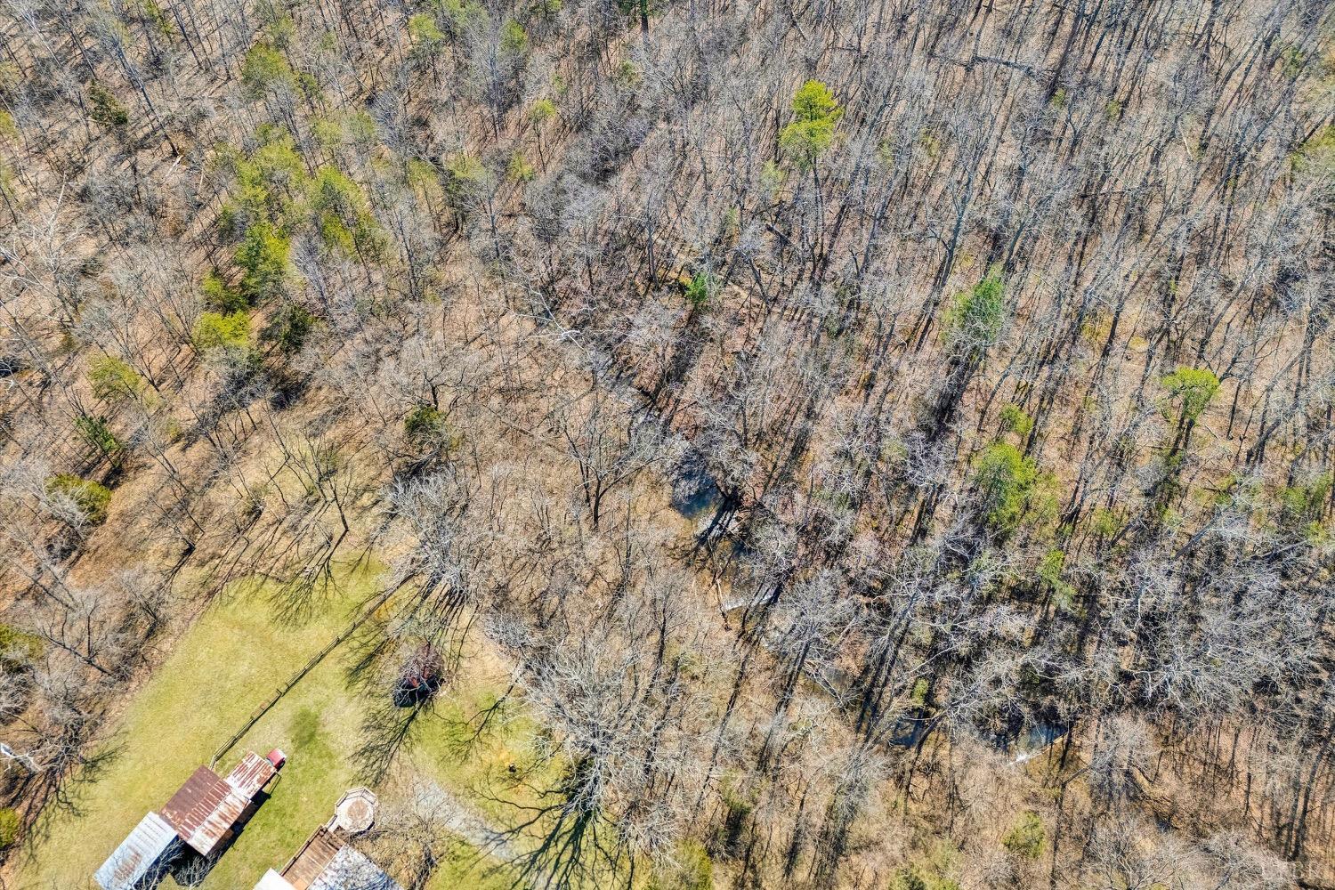 2029 Pike Road, Montvale, Virginia image 31