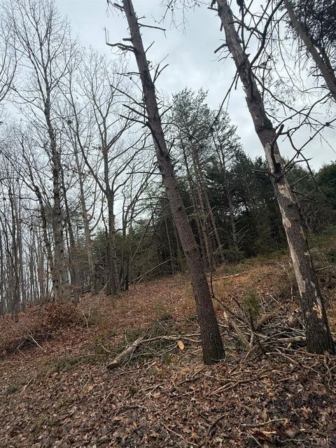 Tiny photo for 4 Harvest Hills Dr., Concord, VA 24538 (MLS # 364706)