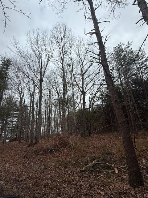 Tiny photo for 4 Harvest Hills Dr., Concord, VA 24538 (MLS # 364706)