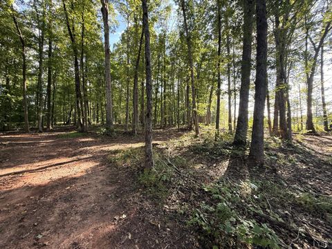 Tiny photo for 12668 Patrick Henry Hwy Hwy, Brookneal, VA 24528 (MLS # 364832)