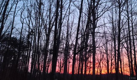 Tiny photo for 12668 Patrick Henry Hwy Hwy, Brookneal, VA 24528 (MLS # 364832)