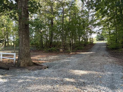 Tiny photo for 12668 Patrick Henry Hwy Hwy, Brookneal, VA 24528 (MLS # 364832)