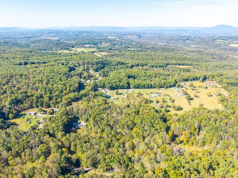 Tiny photo for 615 Stoney Run Rd, Buena Vista, VA 24416 (MLS # 362411)