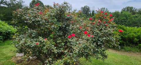 Tiny photo for 13384 Hardy Road, Hardy, VA 24101 (MLS # 364364)