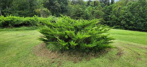 Tiny photo for 13384 Hardy Road, Hardy, VA 24101 (MLS # 364364)