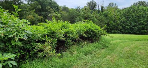 Tiny photo for 13384 Hardy Road, Hardy, VA 24101 (MLS # 364364)