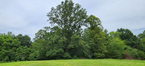 Tiny photo for 13384 Hardy Road, Hardy, VA 24101 (MLS # 364364)