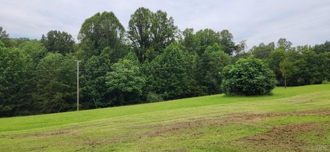 Tiny photo for 13384 Hardy Road, Hardy, VA 24101 (MLS # 364364)