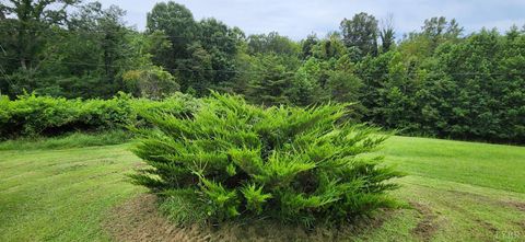 Tiny photo for 13384 Hardy Road, Hardy, VA 24101 (MLS # 364364)