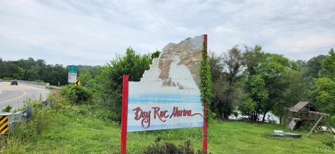 Tiny photo for 13384 Hardy Road, Hardy, VA 24101 (MLS # 364364)