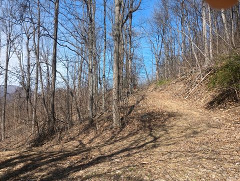 Tiny photo for 1215 Battery Hill Lane, Tyro, VA 22976 (MLS # 365271)