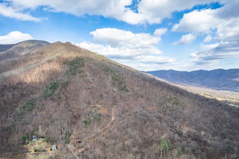 Tiny photo for 1215 Battery Hill Lane, Tyro, VA 22976 (MLS # 365271)