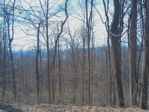 Tiny photo for 1215 Battery Hill Lane, Tyro, VA 22976 (MLS # 365271)