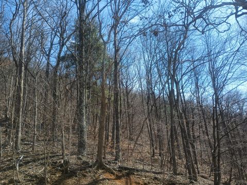 Tiny photo for 1215 Battery Hill Lane, Tyro, VA 22976 (MLS # 365271)