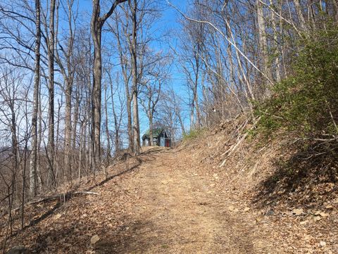 Tiny photo for 1215 Battery Hill Lane, Tyro, VA 22976 (MLS # 365271)