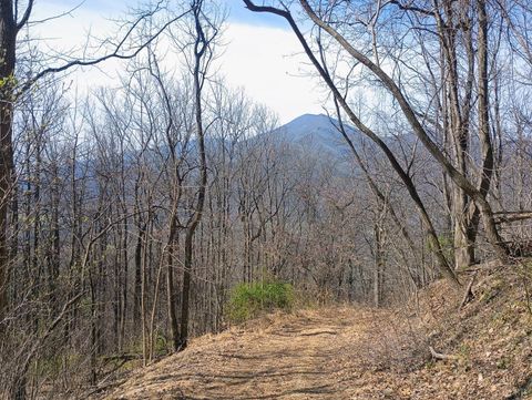 Tiny photo for 1215 Battery Hill Lane, Tyro, VA 22976 (MLS # 365271)