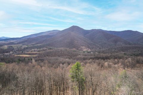 Tiny photo for 1215 Battery Hill Lane, Tyro, VA 22976 (MLS # 365271)