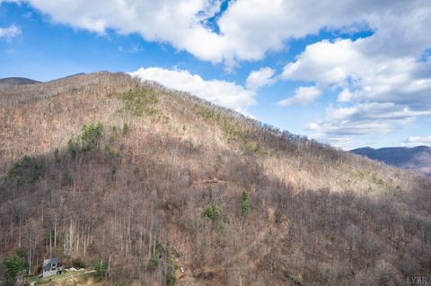 Tiny photo for 1215 Battery Hill Lane, Tyro, VA 22976 (MLS # 365271)