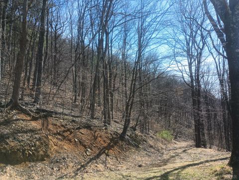 Tiny photo for 1215 Battery Hill Lane, Tyro, VA 22976 (MLS # 365271)