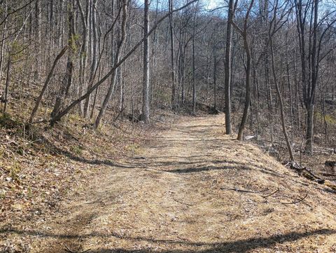 Tiny photo for 1215 Battery Hill Lane, Tyro, VA 22976 (MLS # 365271)