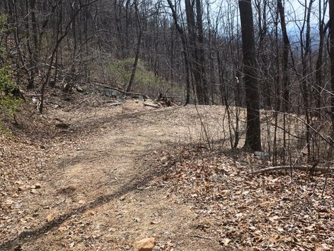 Tiny photo for 1215 Battery Hill Lane, Tyro, VA 22976 (MLS # 365271)