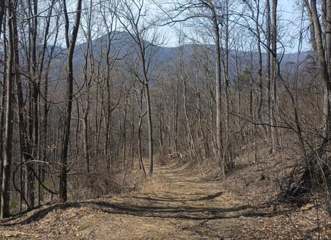 Tiny photo for 1215 Battery Hill Lane, Tyro, VA 22976 (MLS # 365271)