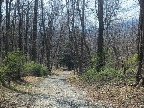 Tiny photo for 1215 Battery Hill Lane, Tyro, VA 22976 (MLS # 365271)