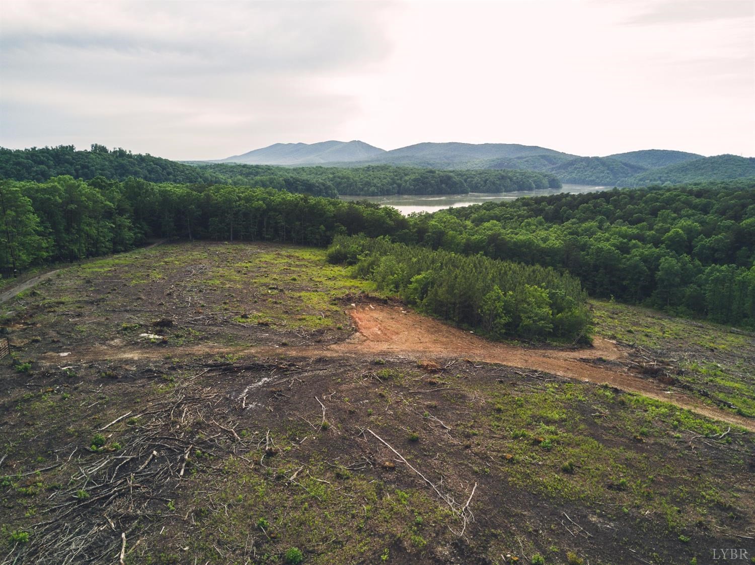 Terrapin Creek Road, Huddleston, Virginia image 12