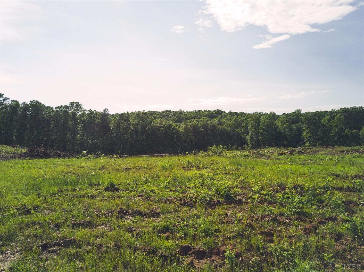 Terrapin Creek Road, Huddleston, Virginia image 4