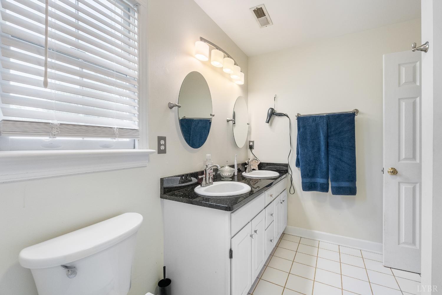 1018 Rocky Branch Drive, Forest, Virginia image 37