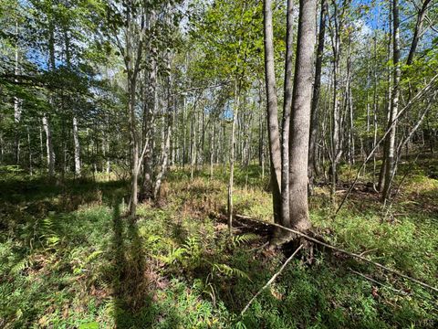 Tiny photo for 0 Mountain Ridge Lane, Shipman, VA 22971 (MLS # 362295)