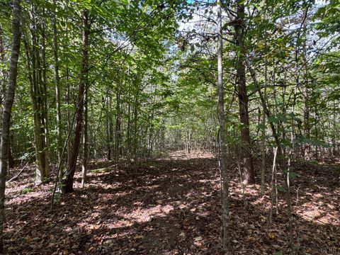 Tiny photo for 0 Mountain Ridge Lane, Shipman, VA 22971 (MLS # 362295)