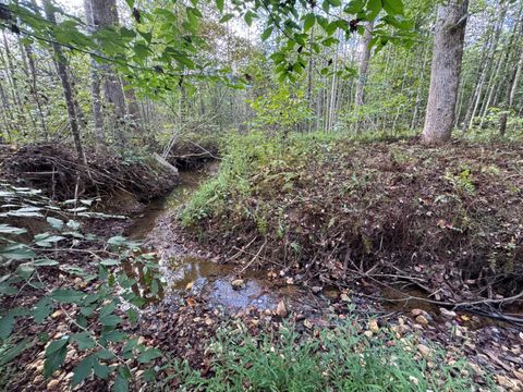 Tiny photo for 0 Mountain Ridge Lane, Shipman, VA 22971 (MLS # 362295)