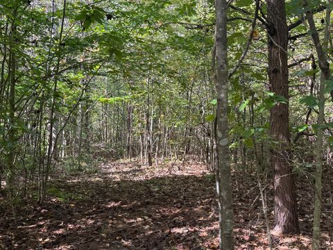 Tiny photo for 0 Mountain Ridge Lane, Shipman, VA 22971 (MLS # 362295)
