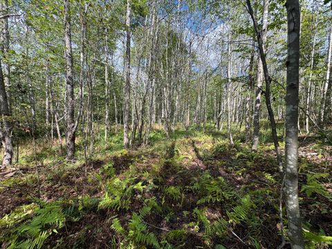 Tiny photo for 0 Mountain Ridge Lane, Shipman, VA 22971 (MLS # 362295)