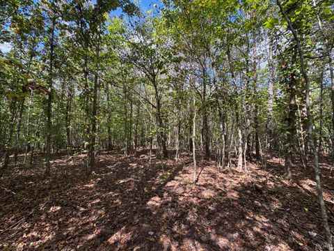 Tiny photo for 0 Mountain Ridge Lane, Shipman, VA 22971 (MLS # 362295)