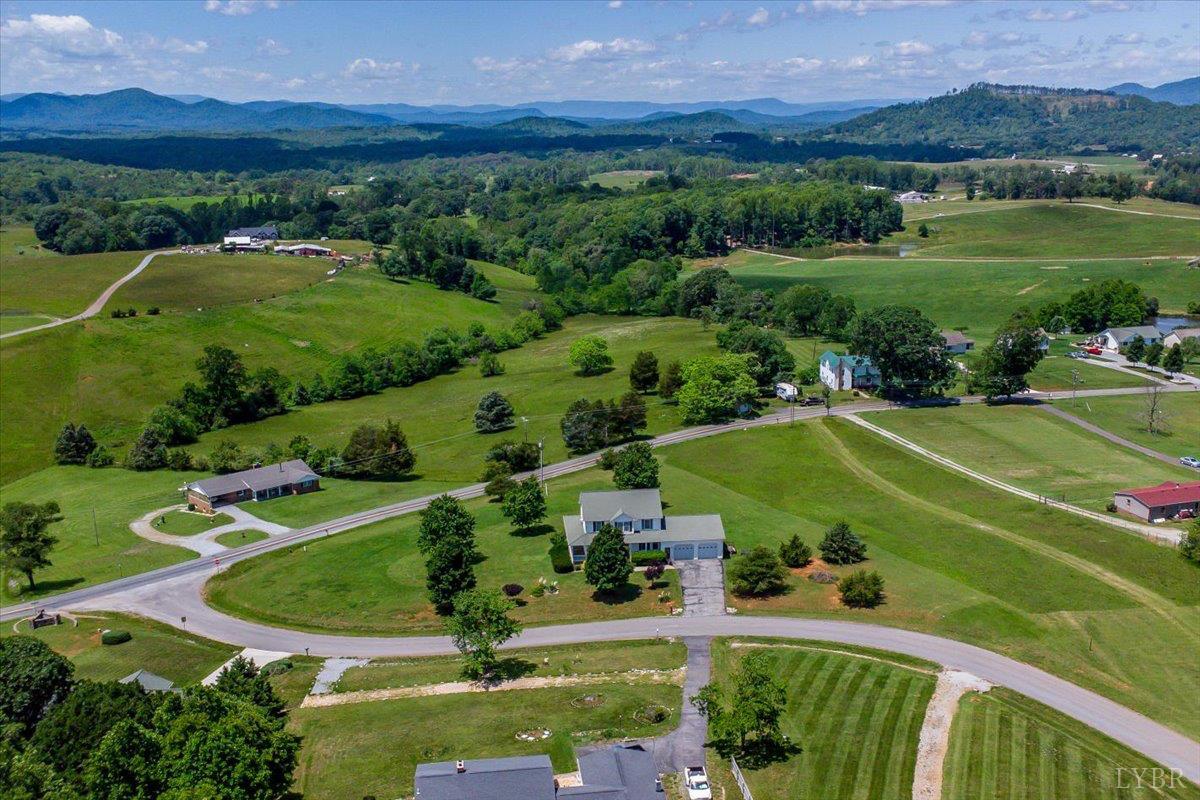 1064 Savanna Hills Dr, Moneta, Virginia image 8