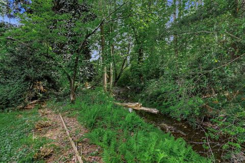 Tiny photo for 1271 Church Street, Appomattox, VA 24522 (MLS # 366361)