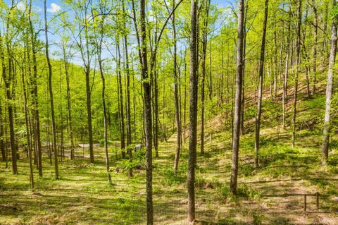 Tiny photo for 3882 Rocky Mountain Road, Forest, VA 24551 (MLS # 365927)