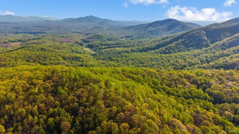 Tiny photo for 3882 Rocky Mountain Road, Forest, VA 24551 (MLS # 365927)