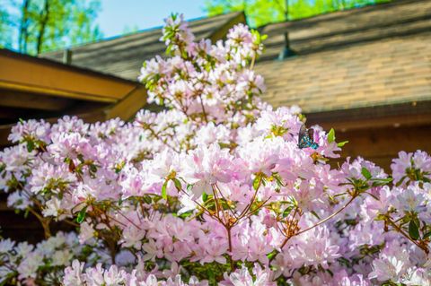 Tiny photo for 3882 Rocky Mountain Road, Forest, VA 24551 (MLS # 365927)