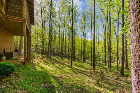Tiny photo for 3882 Rocky Mountain Road, Forest, VA 24551 (MLS # 365927)